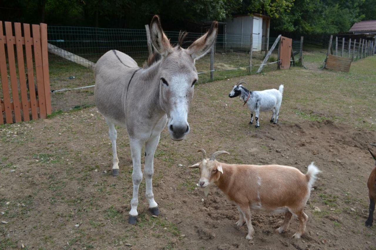 Le Paradis Des Animaux Coublevie Exterior foto